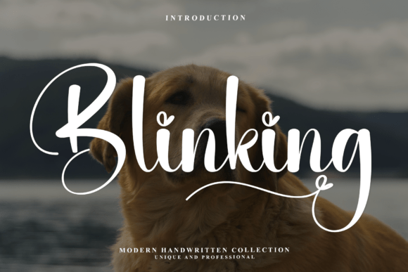 Blinking: A Script Font for Boutique Branding & Elegant Design